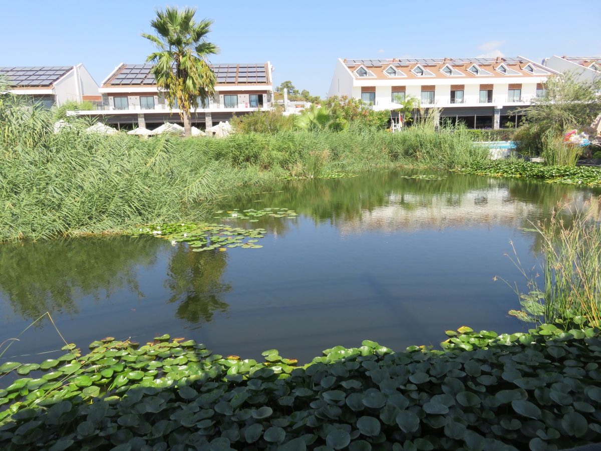 imagini hotel jiva beach fethiye